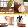SunGrow Rabbit Log Chew, 8 Inches, Fresh Lumber Contemporary Textured Design 2-in-1 Hay Feeder and Molar Bunny Log Chew Teeth Care Toy, for Chinchilla, Hamster, Guinea Pig, Gerbils, Small Animals