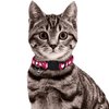 Reflective Cat Collar with Bell, Set of 6, Solid & Safe Collars for Cats, Nylon, Mixed Colors, Pet Collar, Breakaway Cat Collar, Free Replacement (Mixed)