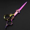 6.0" Professional Japan 440C Hair Cutting Shears - Salon Hair Blending/Thinning/Texturizing Scissor for Barber or Home Use A-rainbow