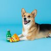 Fringe Studio Dog Toy Set, in Pizza We Crust, 3Pc Mini, Latex, Pet Shop Collection (368011)