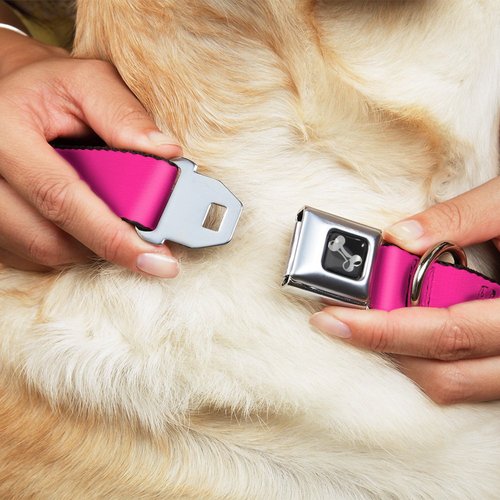 Dog Collar Seatbelt Buckle Neon Pink 18 to 32 Inches 1.5 Inch Wide