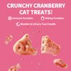 Just Try 13.4 OZ Urinary Tract Cat Treats for Indoor Cats Health Supplement Cranberry & D-Mannose for Kidney Bladder UT Support Salmon Flavor Crunchy Chews Cat Loves