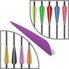 Letszhu Arrows Vanes 4 Inch Plastic Feather Fletching for DIY Archery Arrows 50 Pack (Purple)