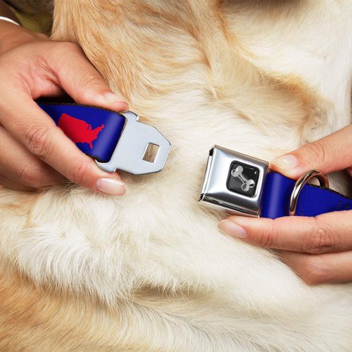 Dog Collar Seatbelt Buckle Merica USA Silhouette Blue White Red 13 to 18 Inches 1.5 Inch Wide