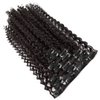 UAmy hair Kinky Curly Clip in Hair Extensions for Women 18 Inches 7Pcs Set Double Weft Synthetic 3B-3C Natural Black Curly Wave Hair Clips in Hairpieces (2# Natural Black)