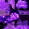 LED Balloons 10 PACKS, 20 Inches Light Up BoboBalloons Helium Style,Glow Bubble Balloons for Christmas Wedding Birthday Valentines Day Halloween Party Supplies Decorations (Purple light)