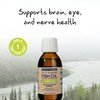 Wiley's Finest Wild Alaskan Fish Oil Summit DHA Liquid - 2140mg of DHA and 460mg of EPA Omega-3s - Citrus Flavored Liquid Supplement - 4.23 Oz (25 Servings)