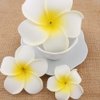 4Pcs White Hawaiian Plumeria Flower Hairpins Women Hawaiian Hawaii Bohemia Style Plumeria Foam Flower Hair Clips Hair Barrette Hairpin For Bridal Wedding Party Beach Holiday Clips