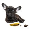 Thilife Interactive Dog Treat Dispenser Toy for Aggressive chewers, Boredom Relief, Enrichment and Brain Stimulation | Cleans Teeth for Dogs, Puppies and Cats | Indestructible, Durable (Banana)
