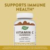Nature's Way Vitamin C Gummies for Immune Support*, Orange Flavored, 250 mg, 120 Gummies