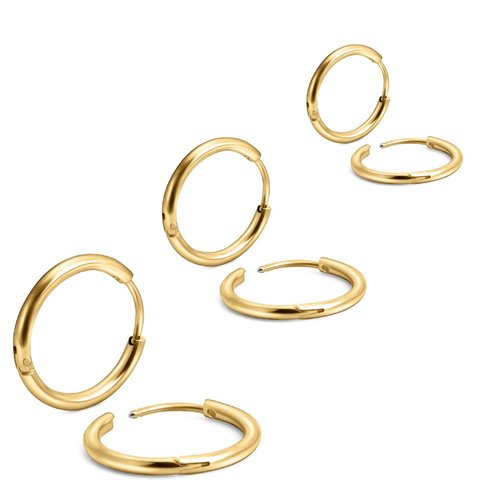 EACHLP 6Pcs 316L Surgical Stainless Steel Small Gold Huggie Hoop Earrings 6mm 8mm 10mm Hypoallergenic Cartilage Helix Lobes Hinged Sleeper for Men Women （6mm 10mmGold）