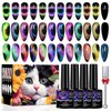 YEPYEPGO 9D Cat Eye Gel Nail Polish Set 12 Colors, Cat Eye Gel Polish with Magnet, Magnetic Cateye Gel Chameleon Galaxy Effects Professional Use for Salon- Set