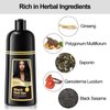 TENGLONG Black Hair Dye Shampo, Instant Black Dye Shampoo for Gray Hair,3-In-1 Color Shampoo–Long Lasting–100% Gray Coverage–Herbal Ingredients For Men & Women 500ml-BLACK