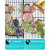 Bissap Conure Toys, 2PCS Bird Parrot Foraging Shredder Hanging Toys Sola Balls Sepak Takraw with Pacifier for Small Parrots Parakeets Conures Cockatiels Love Birds Cage Toy