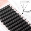 NATUHANA WW Clover Eyelash Extensions 0.07mm C Curl 9-15 Mixed Tray Double 3D Lashes Supplies Premade Fans Russian Volume Faux Mink 12Rows/Case W Shape Lash Extensions (d3D black;0.07 C, 9-15 MIX)
