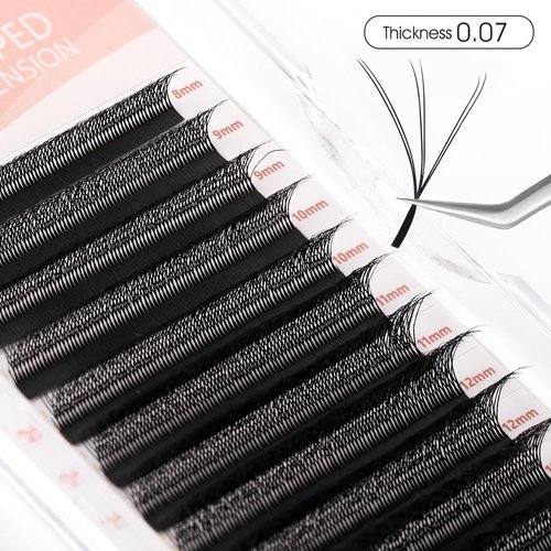 NATUHANA WW Clover Eyelash Extensions 0.07mm C Curl 9-15 Mixed Tray Double 3D Lashes Supplies Premade Fans Russian Volume Faux Mink 12Rows/Case W Shape Lash Extensions (d3D black;0.07 C, 9-15 MIX)