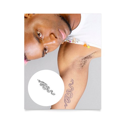 Inkbox Temporary Tattoos, Semi-Permanent Tattoo, One Premium Easy Long Lasting, Water-Resistant Temp Tattoo with For Now Ink - Lasts 1-2 Weeks, Cold Blooded, 6 x 3 in