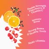 BeLive Elderberry Gummies with Zinc and Vitamin C - Immune Support Supplement with Vitamin D, A, E, B12 - Gummies for Healthy Bones & Teeth, Vegan, Keto & Non-GMO - Raspberry Flavor | 2-Pack