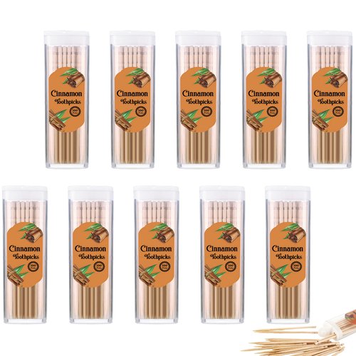 10 Pack Cinnamon Toothpicks Flavor Toothpicks Cinnamon Infused Flavored Toothpicks for Adults, 200 Pcs Toothpicks Total