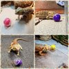 PUMEXFE 6 Pieces Lizard Bear Dragon Feeding Toy Ball Reptile Food Toy Ball Lizard Interactive Toys for Bear Dragon, Lizards, Geckos and Small Animals (Purple)