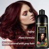 WFWJ Natural Wine Red Hair Dye Shampoo,Magic Hair Dye Shampoo,Colors Hair in 15 Minutes,Long Lasting,500 Ml–3-In-1 Hair Color