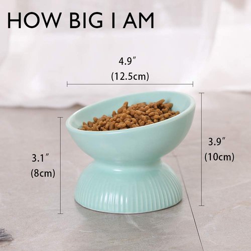 Raised Cat Food Bowls Ceramic - Tilted Elevated Cat Bowls Anti Vomiting - 4.9 in Small Cat Bowl for Dry Wet Food - Stress Free Shallow Cat Feeding Bowls for Whisker Fatigue - Dishwasher Safe - 4oz