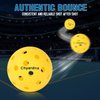 chyardna Outdoor Pickleball Balls |Meet USAPA Official Requirement | Perfectly Balanced,Durable (Tricolor, 6)