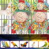 BBjinronjy Bird Toys,2PCS Conure Toys Hanging Natural Soft Sola Ball Beak Chew Shred Forage Toys for Parrots,Cockatiel,Conure,Love Birds,Parakeets,Budgie and Other Small Birds