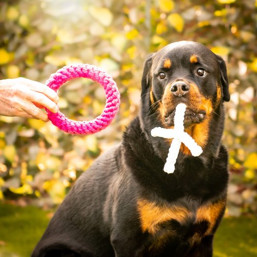 Midlee XO Valentine's Rope Dog Toy