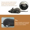 Giveme5 Remote Control Fake Rat Realistic Mouse Cat Toy Mice RC Toy Cat Mice Animal Interactive Toy Figures Cat Running Wheel Wireless Chasing Prank Joke Scary Trick Rats for Cat Funny Toy (Gray)