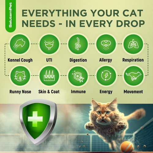 Natural Antibiotics for Cats | Cat Antibiotics | Supports Cat Allergy Relief | Cat Itch Relief | Cat Allergy Support | Cat Multivitamin | Pet Antibiotics | Cat Antibiotics | 2 Oz