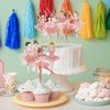 Humyoun 36 Ballerina Cupcake Kit Colorful Ballet Tutu Dancer Girls Cupcake Toppers Ballet Slipper Cupcake Picks Dancing Cake Dessert Muffin Toppers for Wedding Baby Shower Birthday Party