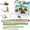 Hapinest DIY Potted Felt Succulents Craft Kit for Adults Women Teens, Arts & Crafts for Kids Fun Activities Project Ideas Hobbies for Women at Home, DIY Crafts for Adults Girls Ages 6-12 Years & Up