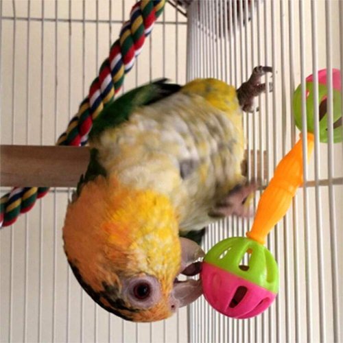 Junfamilee 2 Pcs Bird Parrot Toy Rattle Birds Fun Exercise Plastic Double-Headed Bell Pet Toys Small and Medium Birds Foraging Foot Toy,Bird Toys, Pet Supplies