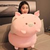 Jensquaify Pig Plush Pillow Soft Pig Stuffed Animal Toy Piggy Body Pillow, 23.6"
