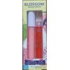 Blossom Strawberries n Cream Lip Gloss & Strawberry Lip Oil Well Blended Juicy, 1 Count (Pack of 1)