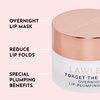 LAWLESS Women's Forget The Filler Overnight Lip Plumping, Birthday Cake, 0.28 Ounce