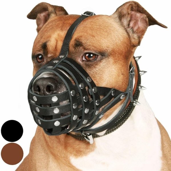 CollarDirect Pitbull Dog Muzzle Leather Amstaff Muzzles Staffordshire Terrier Secure Basket (Black)