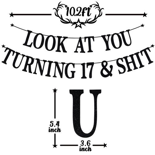 Black Glitter Look at You Turning 17 & Shit Banner, Happy 17th Birthday/Level 17 Unlocked/Cheers to 17 Years, Funny 17th Birthday Party Decorations Supplies