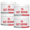 Silver Fern Gut Repair - Digestive Health Supplement Powder - L-Glutamine, Curcumin, Zinc & Ascorbic Acid Blend