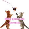 Selxran 6 PCS Cat Toy Refills Retractable Wand Toy Cat Feather Toy for Indoor Cats to Chase and Exercise
