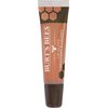 BURTS BEES Flushed Blush Lip Gloss, 14 GR