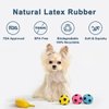Pawdoer Squeaky Dog Ball - Soft Latex Rubber Squeaky Dog Toys for Small Dogs Puppies - Cute Bounce Dog Squeak Toys Play Fetch Soccer Ball
