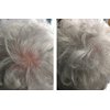 Hair Thickening Fibers. Cover Bald Spot and Thinning Hair Instantly. Make Thin Hair Look 10X Fuller. All-Natural Hair Building Fiber. Trial Size (10-Day Supply). Silver/White