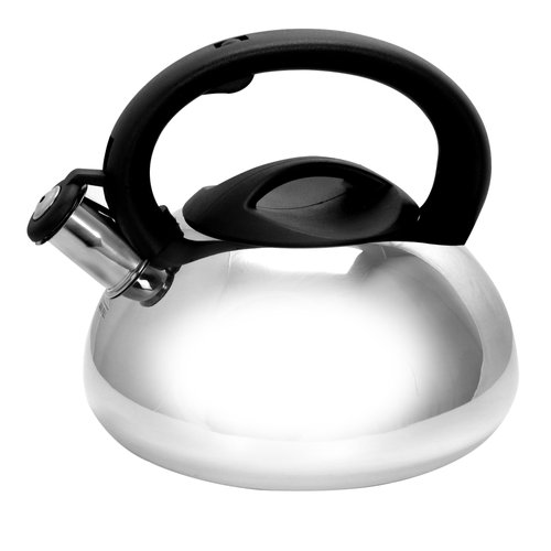 Mr. Coffee 74265.02 Harpwell 2 Quart Stainless Steel Whistling Tea Kettle, Silver