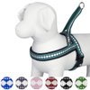 Blueberry Pet 6 Colors Soft & Comfy Jacquard Padded Dog Harness, Chest Girth 21.5" - 27.5", Teal Blue, S/M, Reflective Adjustable Harnesses for Dogs