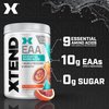 XTEND EAA + BCAA Powder | Muscle Recovery & Lean Muscle Growth | 9 Essential Amino Acids for Intra Workout or Post Workout Recovery | 10g EAAs Per 2 Servings | Blood Orange 40 Servings