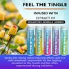 Xero Picks Freshen - Infused Flavored Toothpicks - Cooling Fresh Breath - 100 Picks - 5 Pack - Variety