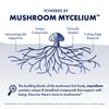 Host Defense Mesima Capsules - Herbal Antioxidant Activity & Immune System Support Supplement - Mushroom Supplement to Support Balanced Immune Response - 60 Capsules (30 Servings)*