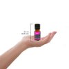 Plantlife Joy Aromatherapy Essential Oil Blend - Straight from The Plant 100% Pure Therapeutic Grade - No Additives or Fillers - Made in California 10 ml
